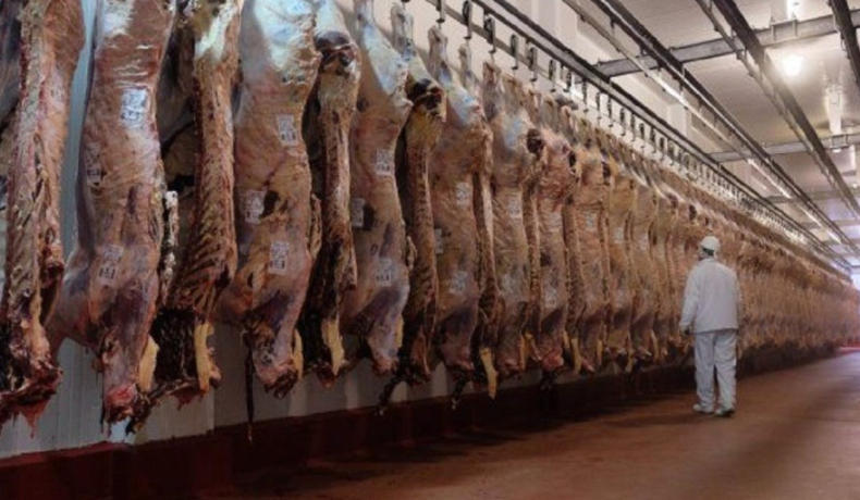 Echaron a 40 trabajadores en un frigorífico de Azul.
