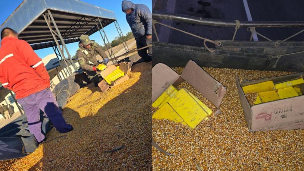Un conductor fue detenido con 44 kilos de cocaína ocultos entre granos de maíz en un camión.