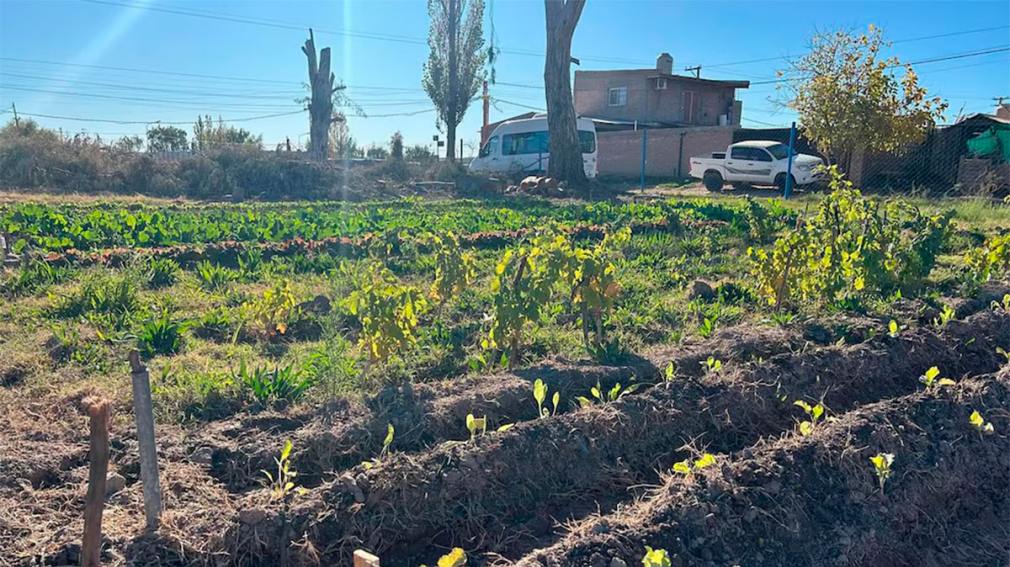 Echaron a un empleado municipal por tener sexo con una compañera.