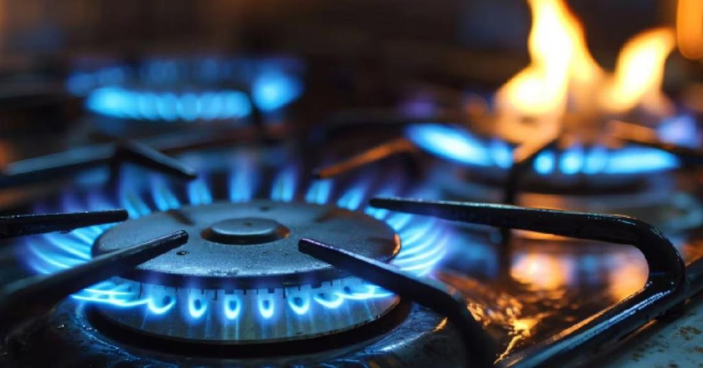 Se espera una ola de frío extremo y buscan mecanismos para que no vuelva a faltar el gas.