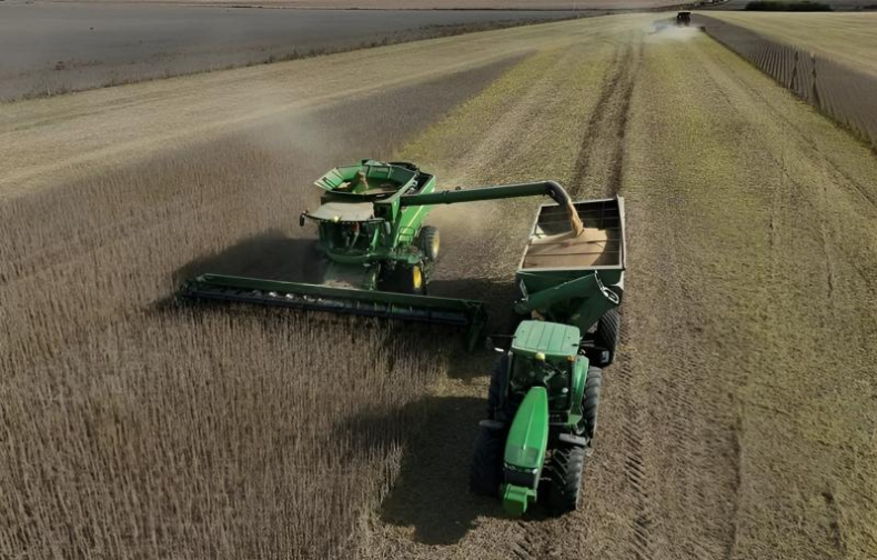 Argentina: único líder del agro cuyas exportaciones descienden
