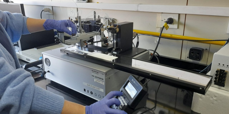 Crean plataforma para desarrollar test rápidos de diagnóstico para afrontar la falta de insumos ante crisis sanitarias
