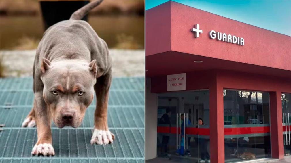 Otro ataque fatal de un pitbull en Córdoba: murió un nene de 2 años.