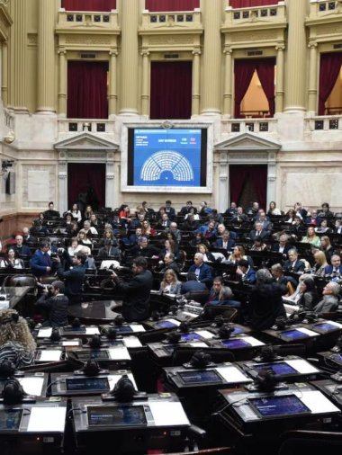 La oposición quiere anular los vetos de Milei con una sesión especial.