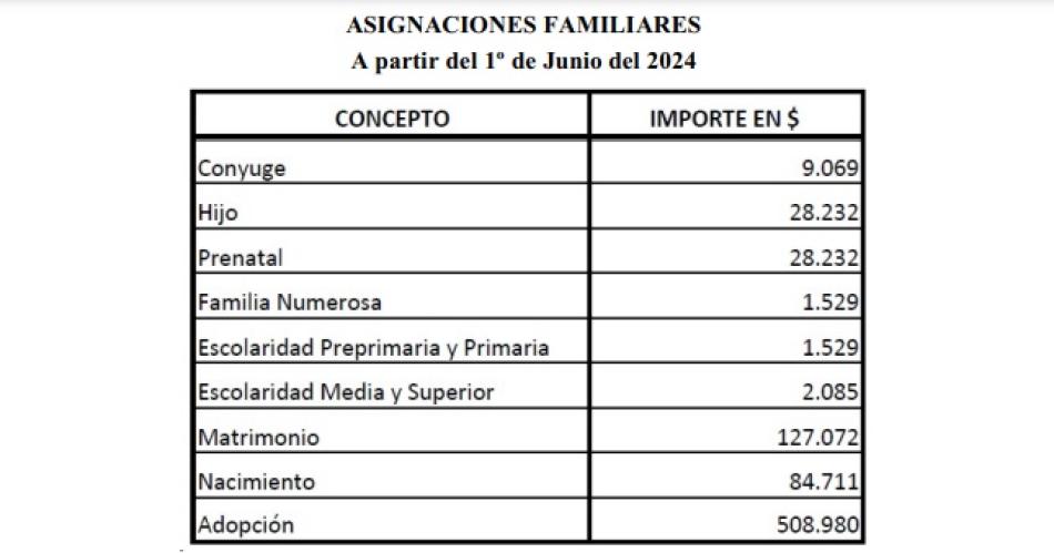 La Provincia actualizó montos de las asignaciones familiares.