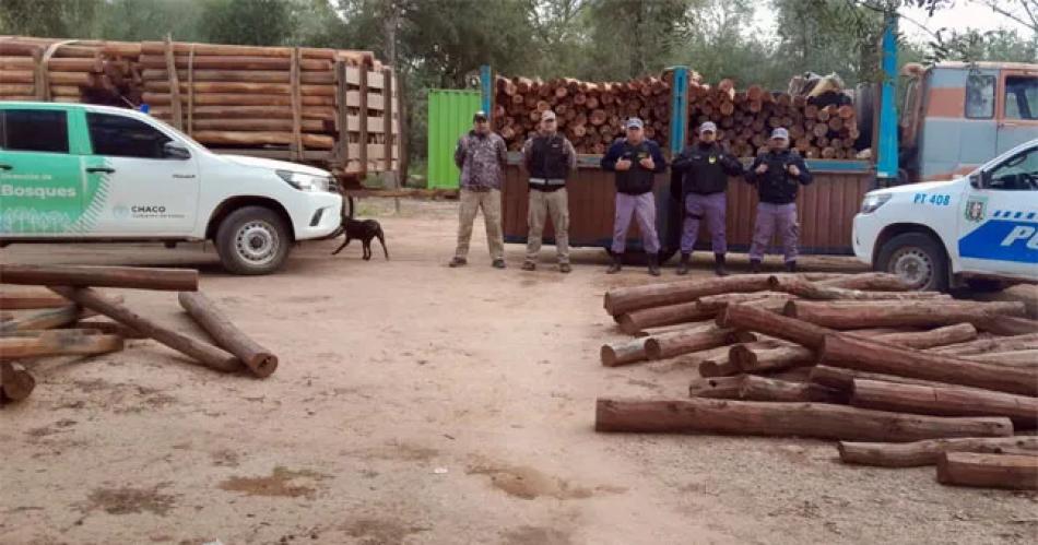 Madera clandestina: secuestran casi 400 postes labrados que querían traficar en Santiago.