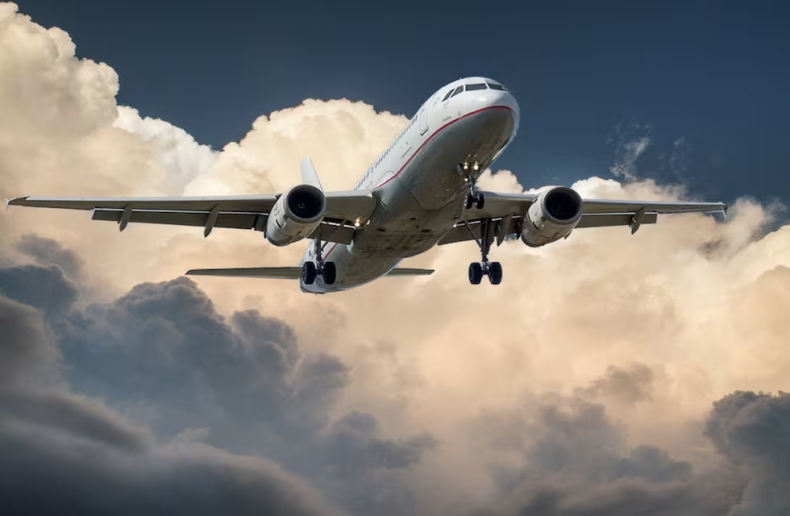 Aerofobia: cómo es el miedo a volar y algunos consejos para prevenirlo