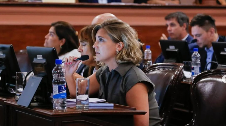 Asumirá en la banca que dejó Edgardo Kueider tras ser expulsado del Senado