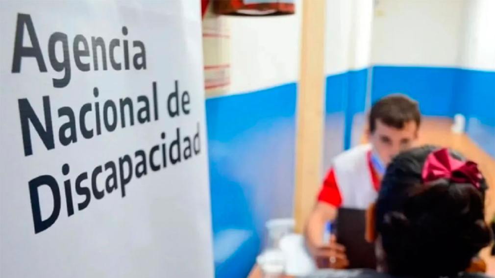 El Gobierno detectó que casí el 70% de las pensiones por discapacidad en Chaco fueron entregadas de manera irregular