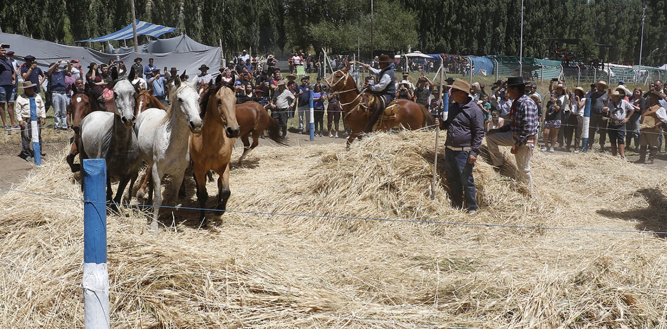 Las tradiciones iniciaron su festejo en El Cholar