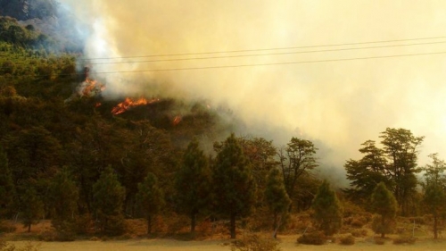 Llegan brigadistas chilenos para enfrentar el incendio
