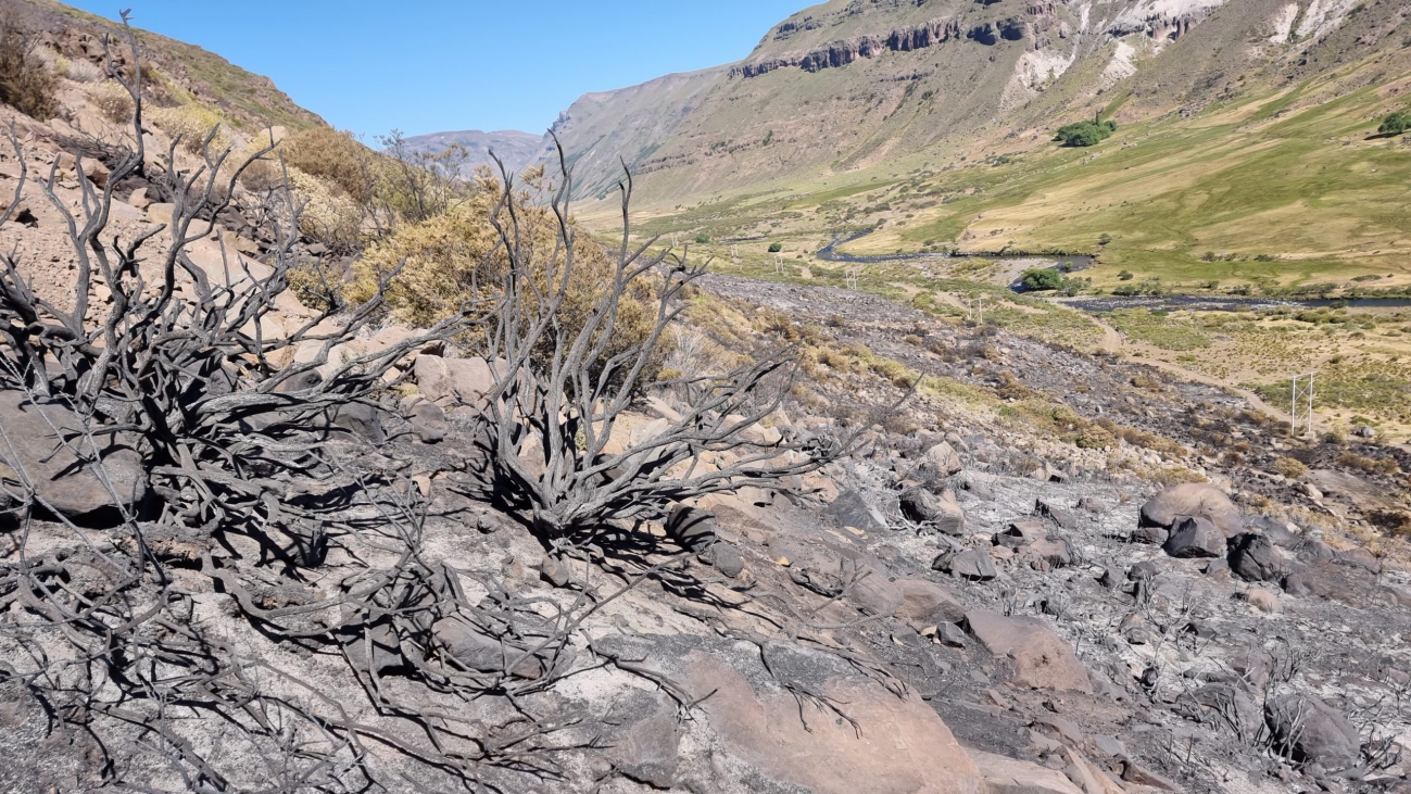 Se encuentra controlado el incendio de pastizales en el Cajón de Hualcupén