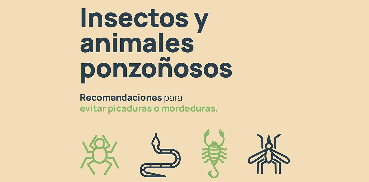 Recomendaciones para prevenir eventos relacionados con insectos y animales ponzoñosos