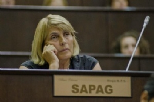 "Sapag no se retiró, sino que deja gobernar"
