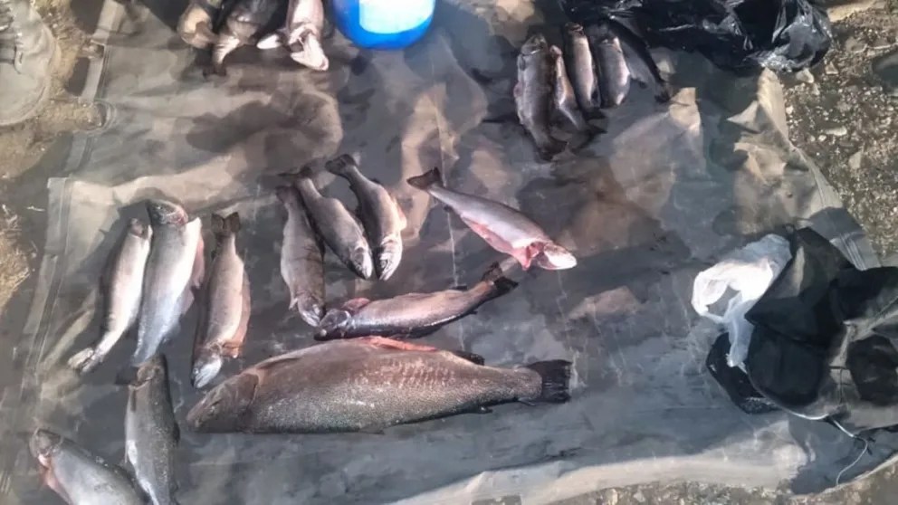 Decomisaron truchas y apagaron más de 60 fogones en zonas no permitidas