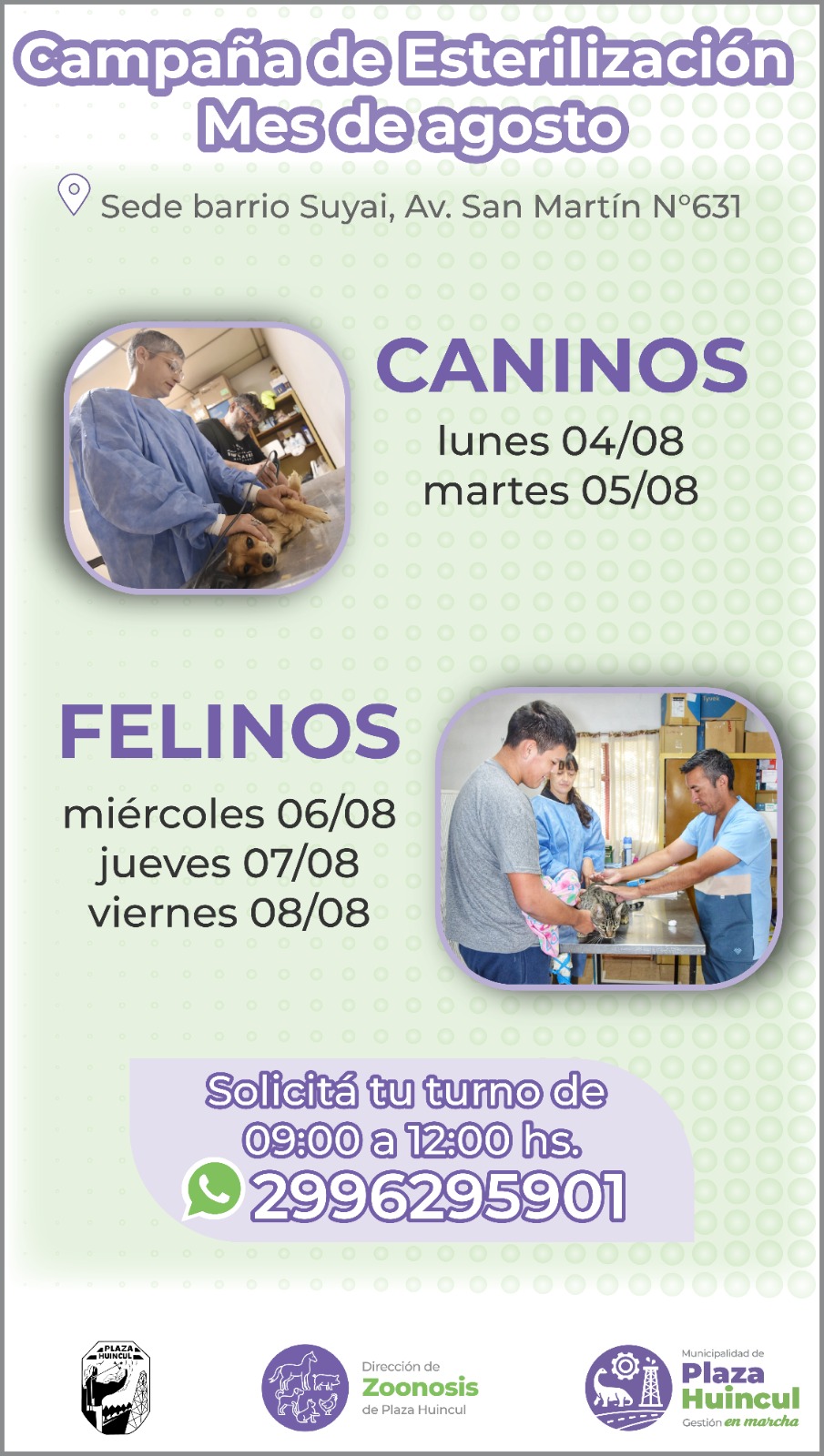 Zoonosis realizará castraciones gratuitas en el barrio Suyai durante el mes de agosto