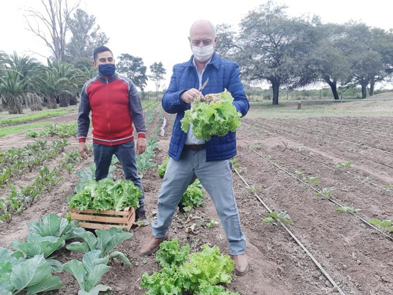 LAS LAJITAS : PRIMER COSECHA DE LA HUERTA MUNICIPAL
