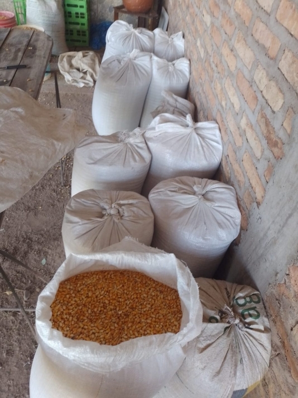 Las Lajitas: un detenido por la sustracción de 10 toneladas de productos agrícolas