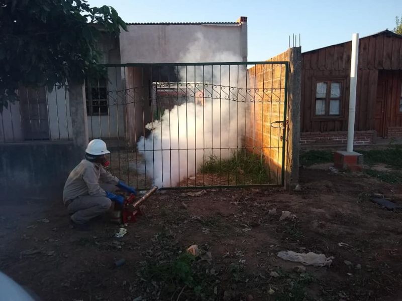 CONTINUAN LAS FUMIGACIONES EN LAS LAJITAS