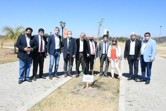 En el bicentenario se plantaron árboles por cada uno de los Departamentos salteños