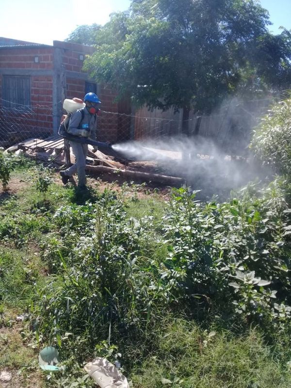 APOLINARIO SARAVIA: INTENSIFICAN TAREAS CONTRA EL DENGUE