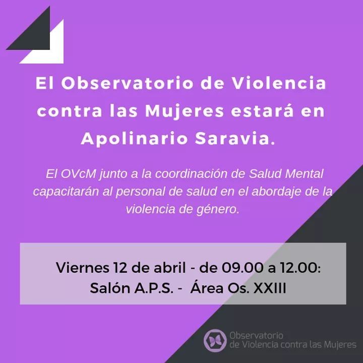 APOLINARIO SARAVIA : EL OBSERVATORIO DE VIOLENCIA CONTRA LAS MUJERES