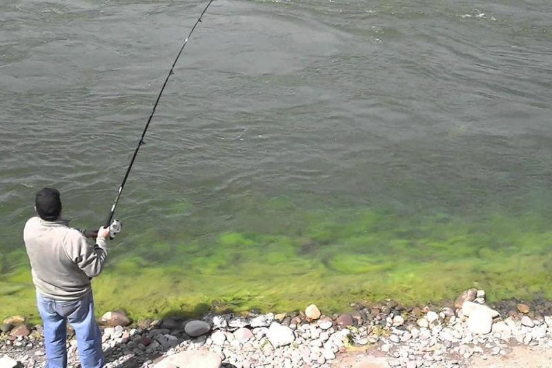Rige la veda de pesca en Dique El Tunal y cinco ríos de Salta