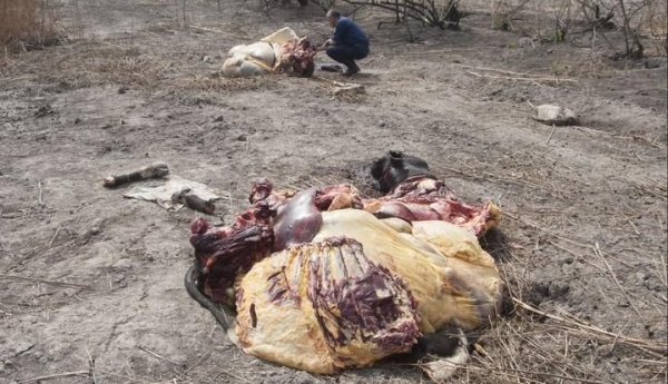 EL QUEBRACHAL Lo atraparon con pruebas pero lo liberaron al rato
