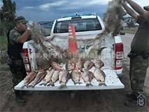 Secuestran redes para la pesca furtiva en el rio Juramento