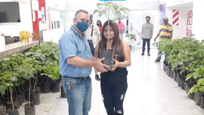 Moisés entregó plantines de Lapacho Rosado para forestar Apolinario Saravia y Mollinedo