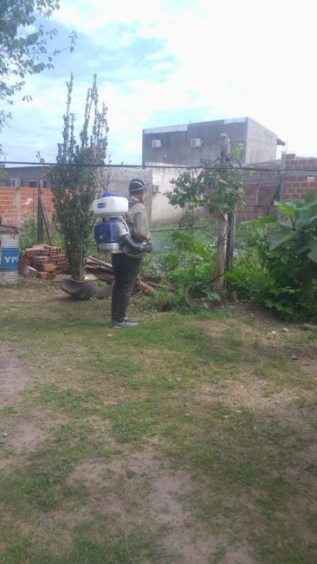 APOLINARIO SARAVIA: INTENSIFICAN TAREAS DE FUMIGACIÓN Y DESCACHARRADO