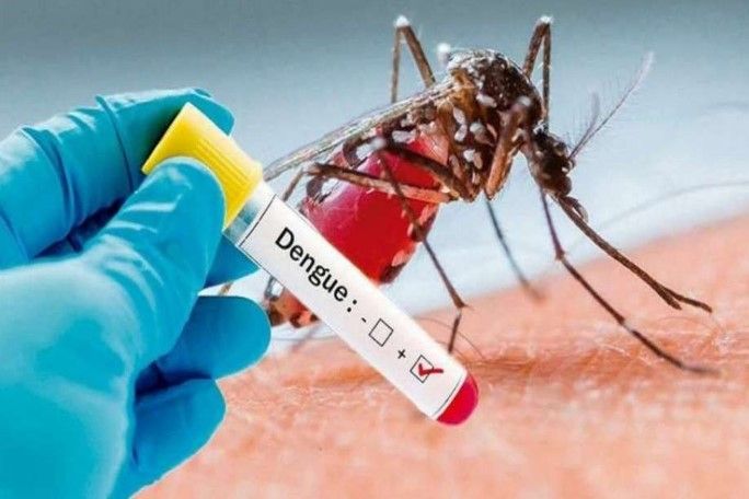 Dengue en Salta: oficialmente son 605 casos en toda Salta, pero S. Mazza dice que tiene mil
