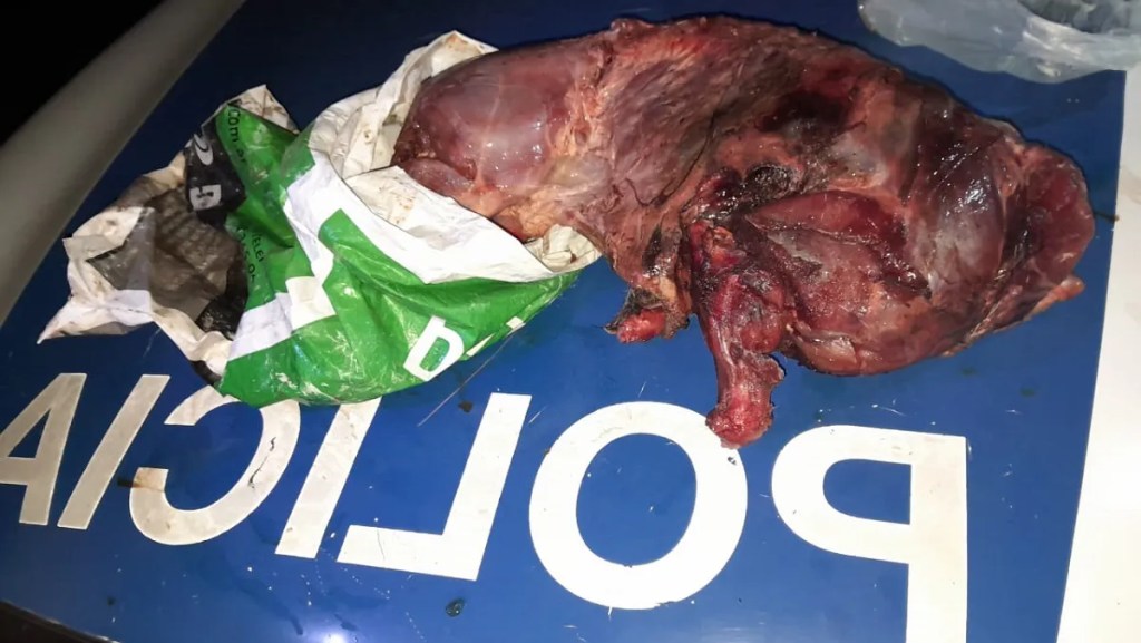 Atentado a la fauna: infracciones por traslado ilegal en J.V. González