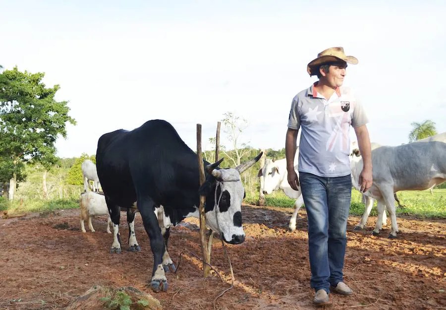 Pequeños productores ganaderos de González podrán acceder a asistencia provincial
