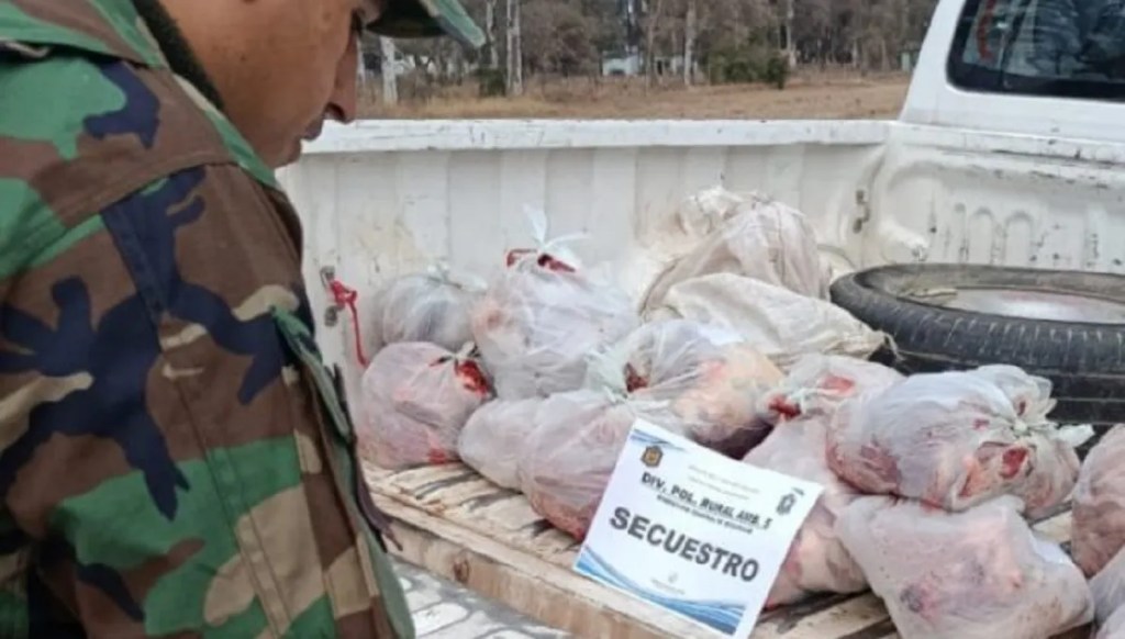 Anta: secuestran más de 90 kilos de carne por transporte irregular