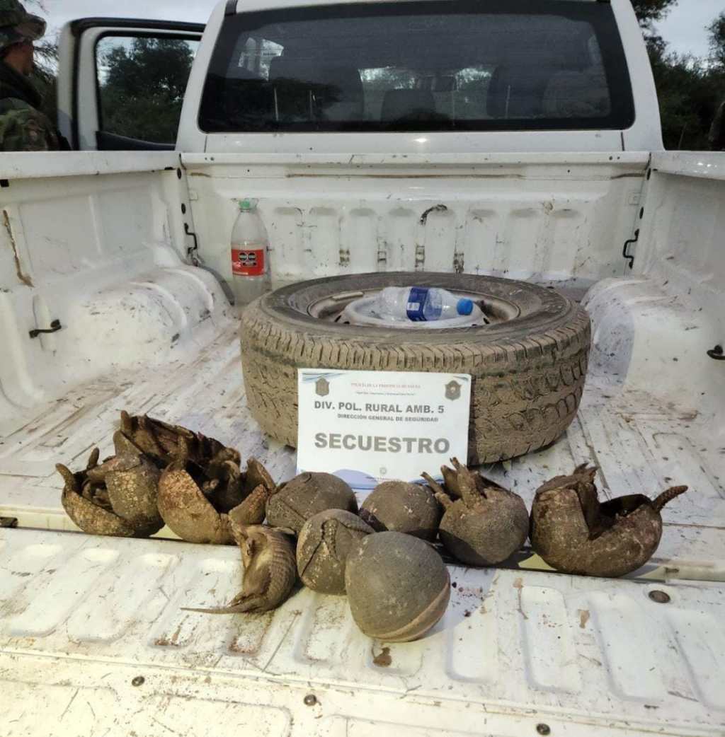 La Policía infraccionó a cazadores furtivos y rescató animales de especies protegidas