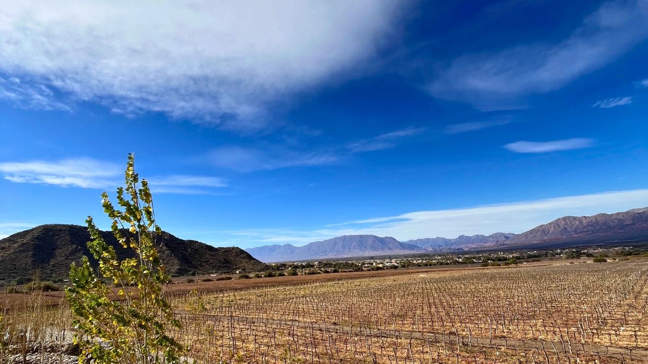 Se viene una semana con calorcito en Cafayate, la máxima podría alcanzar los 30°