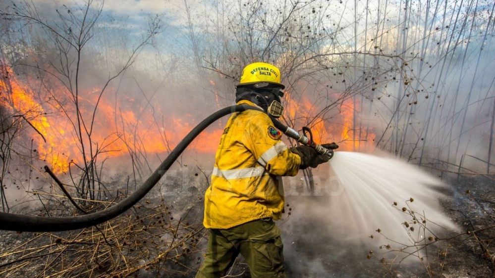 Día Internacional del Bombero Forestal: por qué se conmemora hoy, jueves 4 de mayo