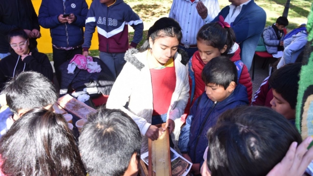 Más de 400 chicos participaron de la Feria Ambiental en Cafayate