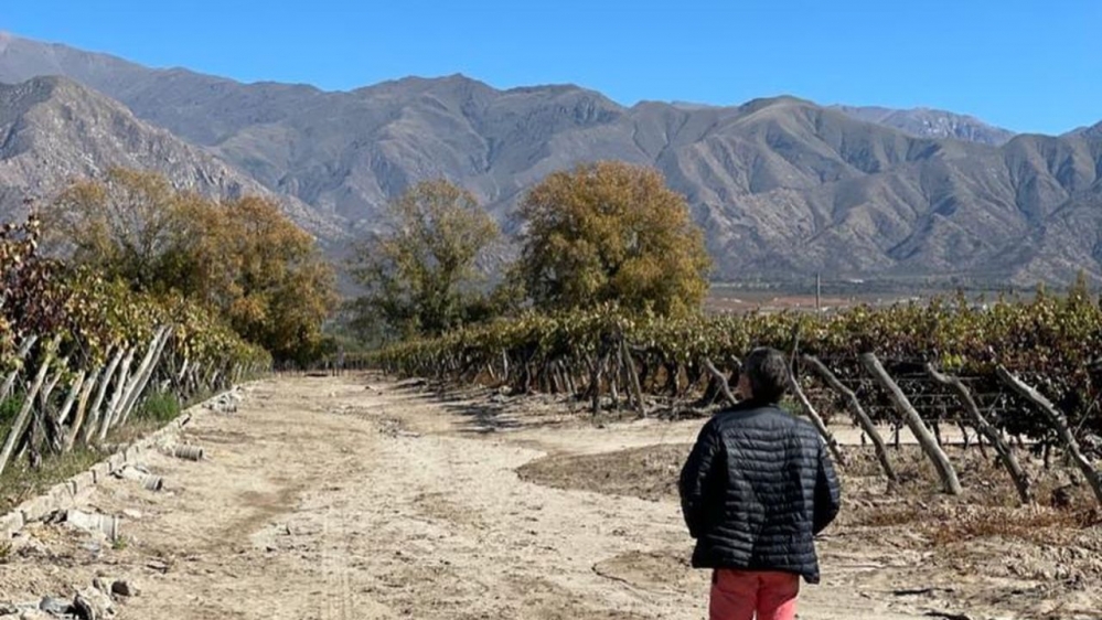 Ahora si se va a sentir el otoño: se vienen días más frescos en Cafayate