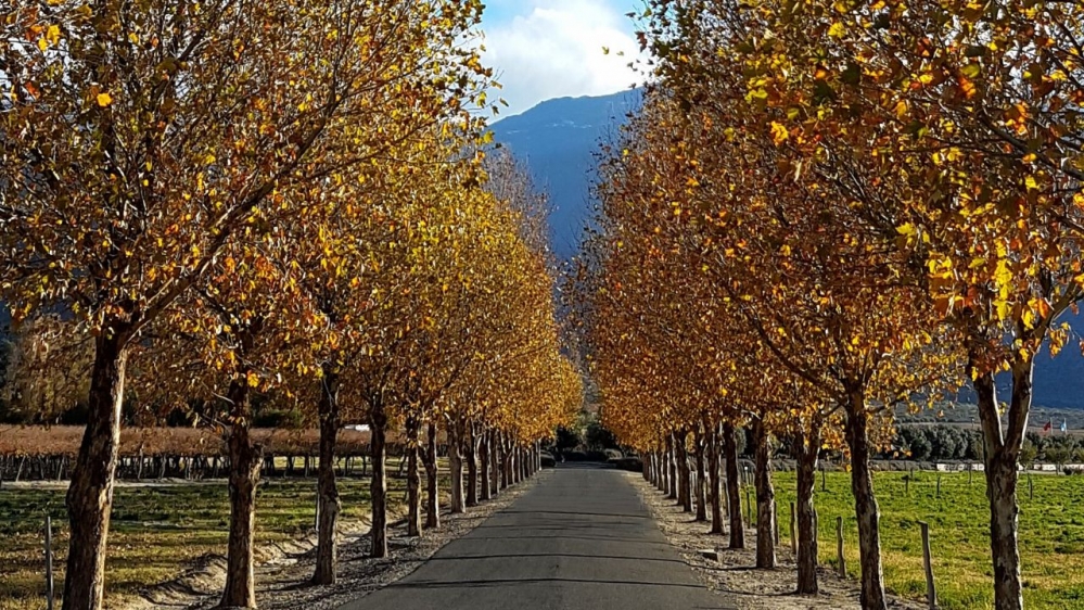 Comenzó el otoño en el hemisferio sur