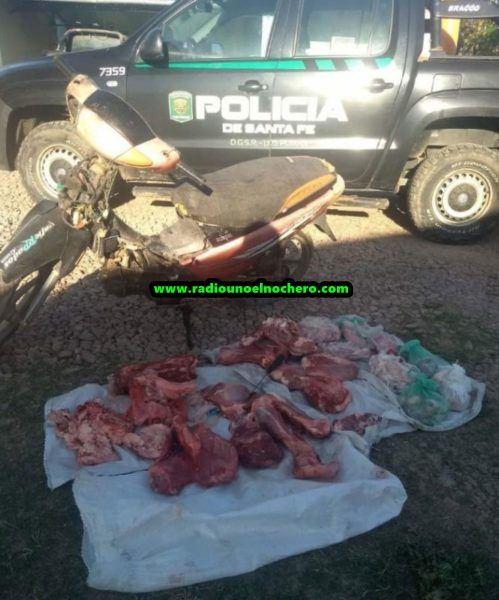 El Nochero: Los Pumas de Gato Colorado esclarecen abigeato agravado