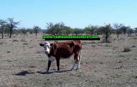 Los productores santafesinos en Emergencia Agropecuaria por sequía ya pueden tramitar su certificado