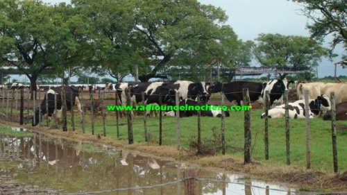 Por las lluvias la provincia de Santa Fe esta perdiendo más de 1.000.000 litros de leche por día