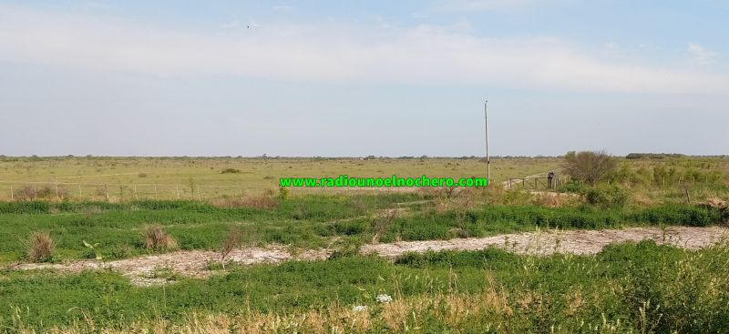 Investigan el robo en una vivienda de la zona rural de El Nochero