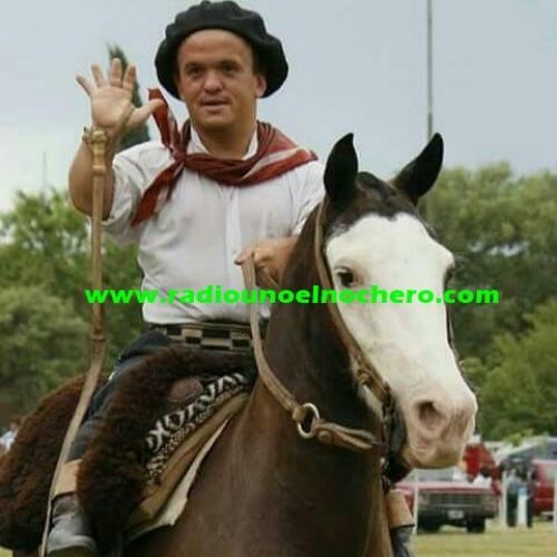 Se celebra hoy el Día Nacional del Gaucho