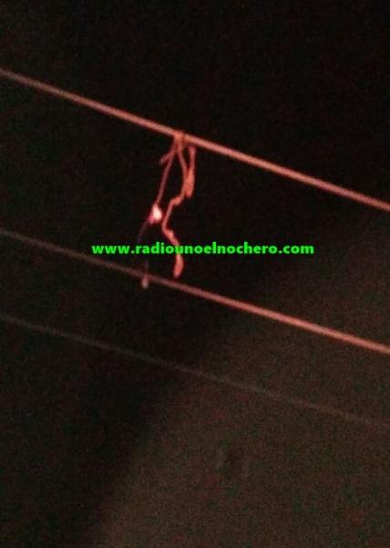 Una "boleadora" dejó cinco horas sin luz a Gato Colorado