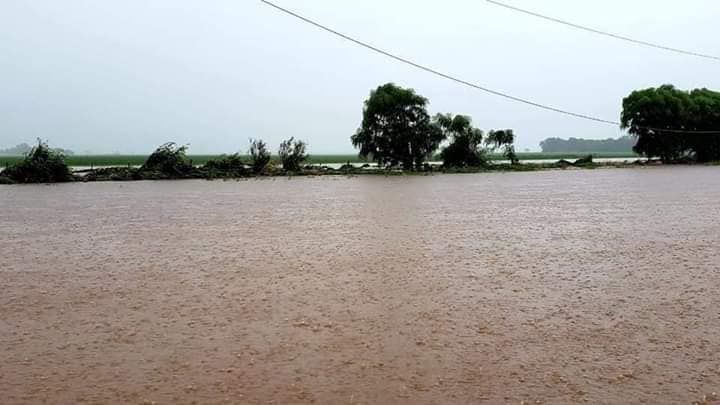 Chaco: Productores cortarán la ruta 95 en Du Graty