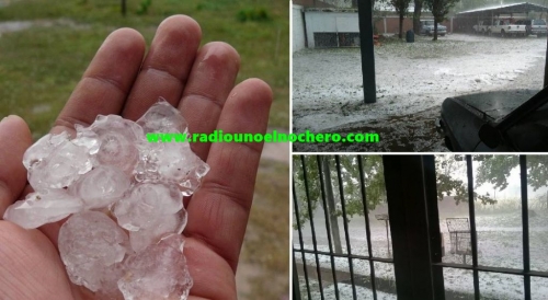 Fuerte temporal de granizo castigó la zona de Hersilia y Colonia Alpina