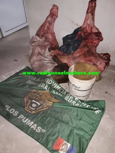 Faenamiento clandestino en zona rural de Tostado: Secuestran unos 100 kilos de carne vacuna